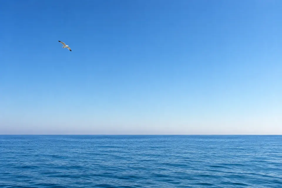 原图：海天一色的晴空，左上方飞着一只海鸥
